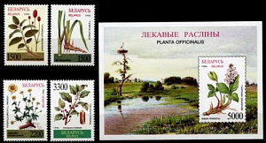 Беларусь, 1996, Лекарственные Растения, 4 марки + блок